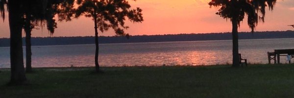 MFWil Profile Banner