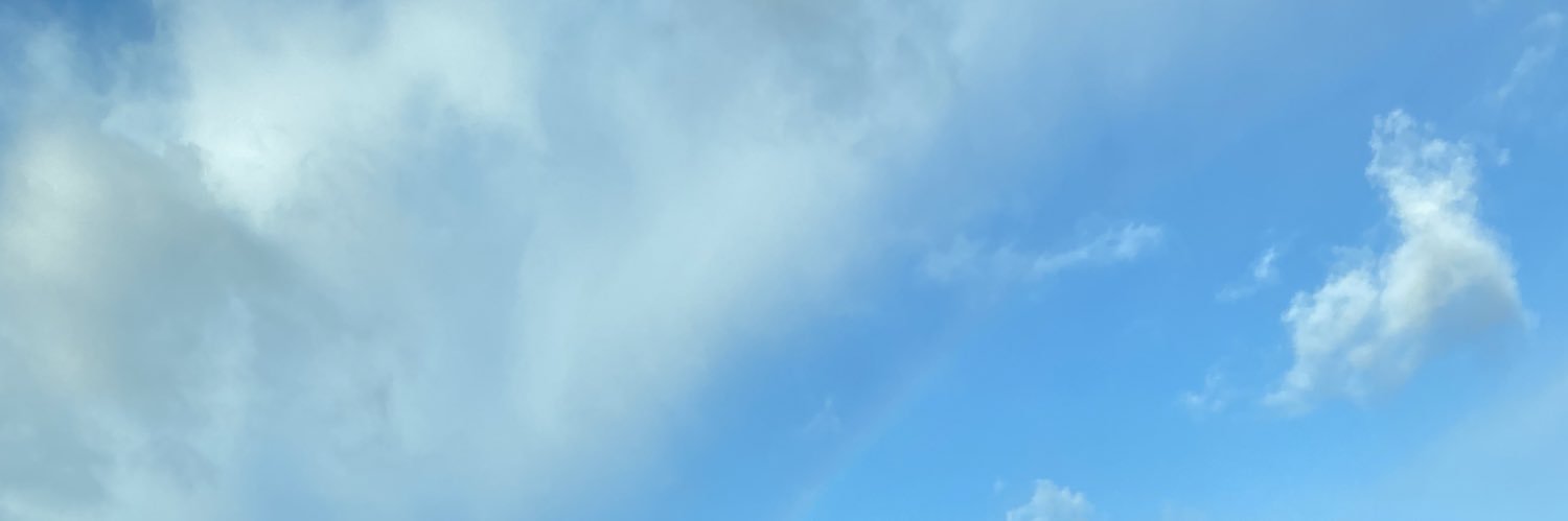 SarahKBush's profile banner image