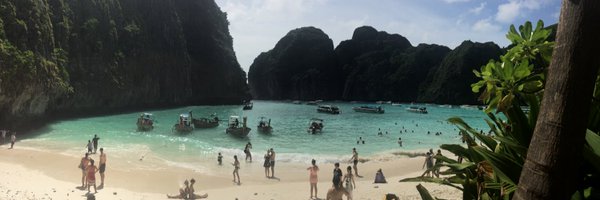 PoppyDavies2 Profile Banner