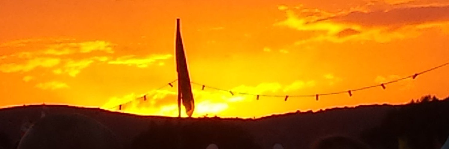 IuliaTrulia's profile banner image