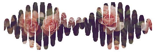 Filaily banner
