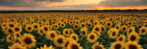 Katelyn4262's profile banner image