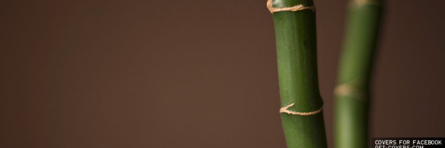 rcolon93's profile banner image