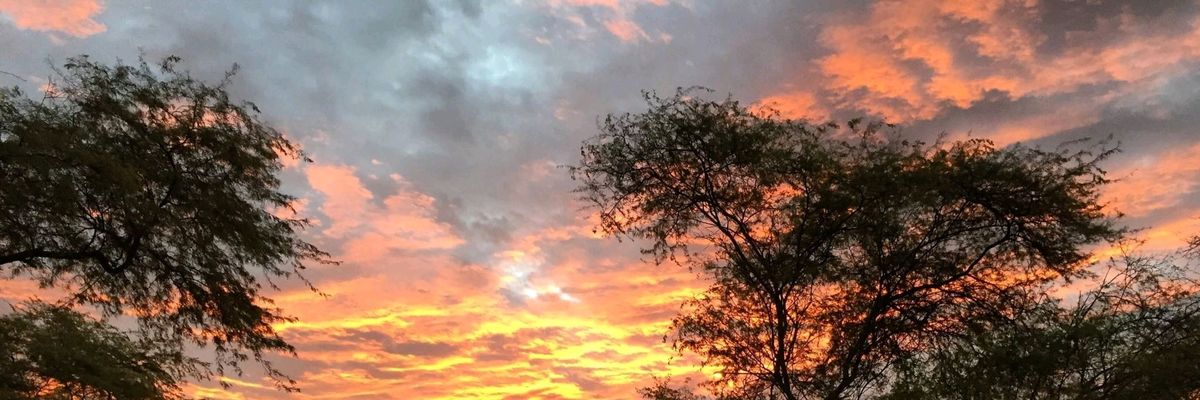 roblesemiliope's profile banner image
