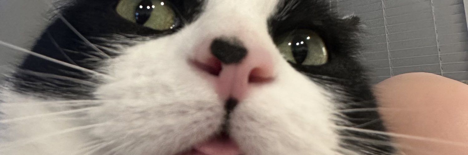 TylerLeee's profile banner image