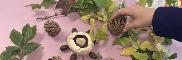 MrsRHigham Profile Banner