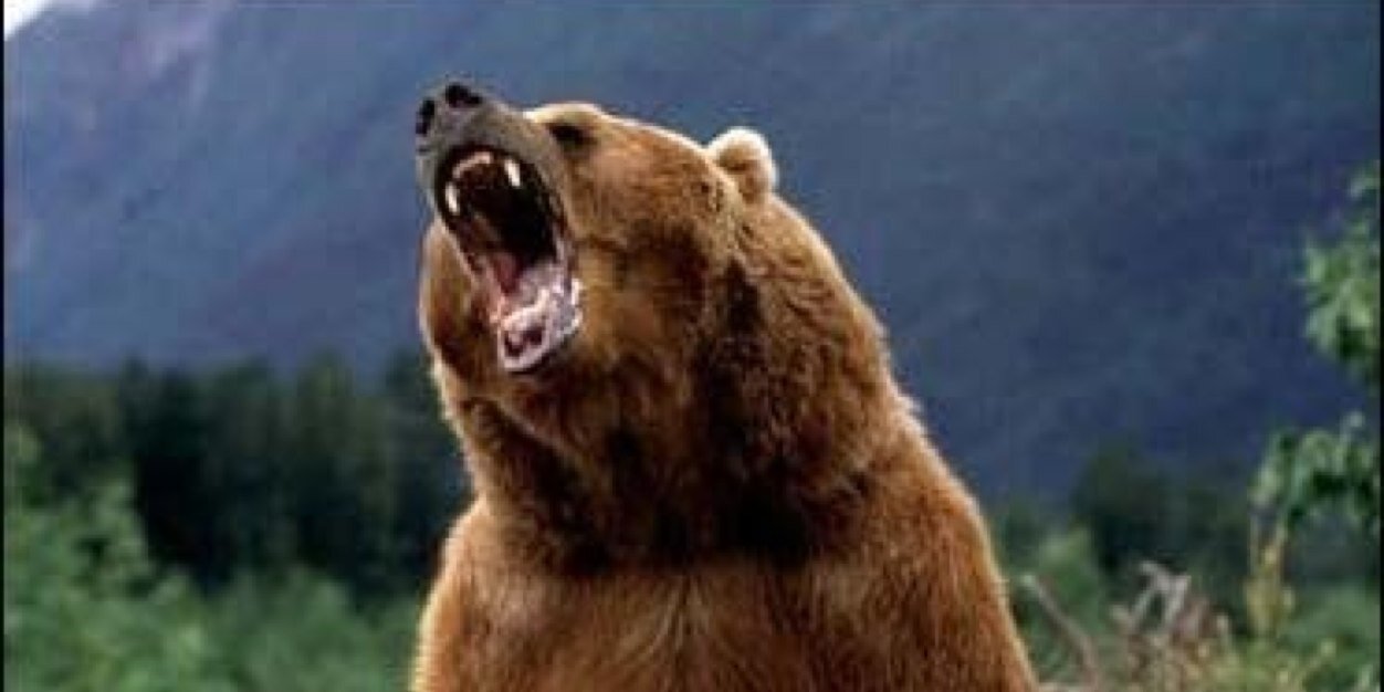 Martini Chuck banner