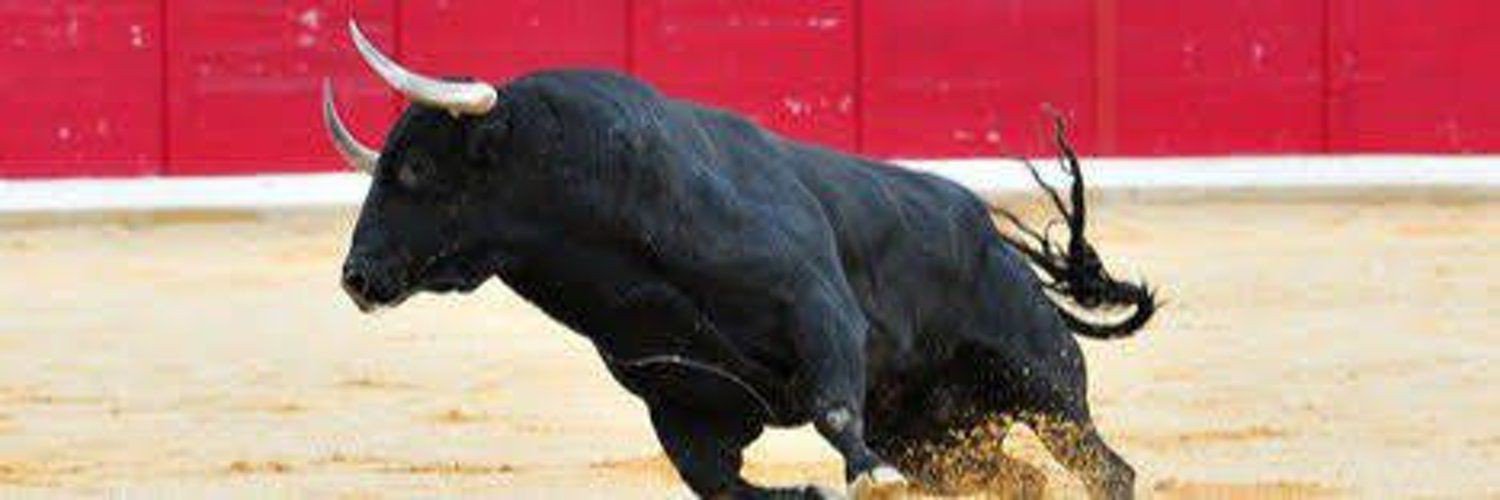 borsaist_'s profile banner image