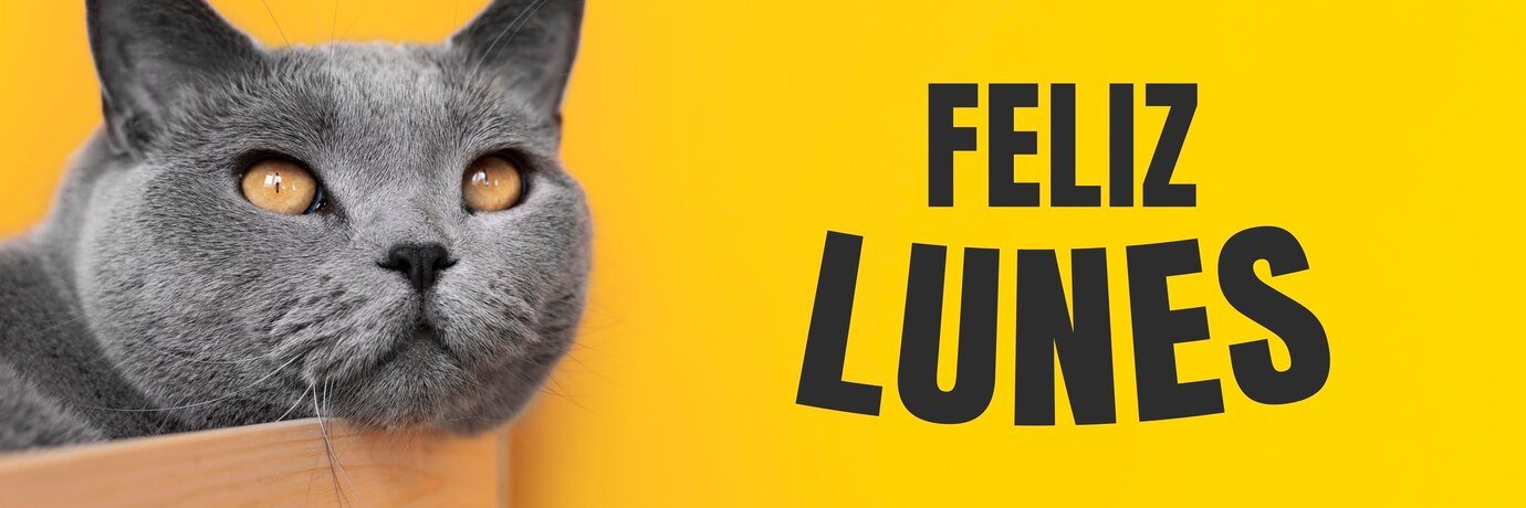 mellow 187 banner