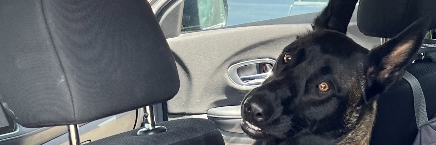 KaseySimonds's profile banner image
