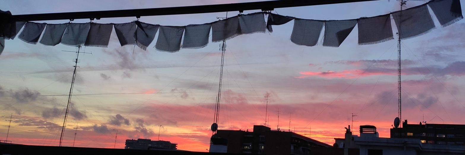 Laura de Grado banner