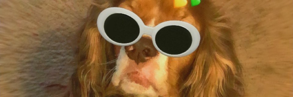 _svag's profile banner image