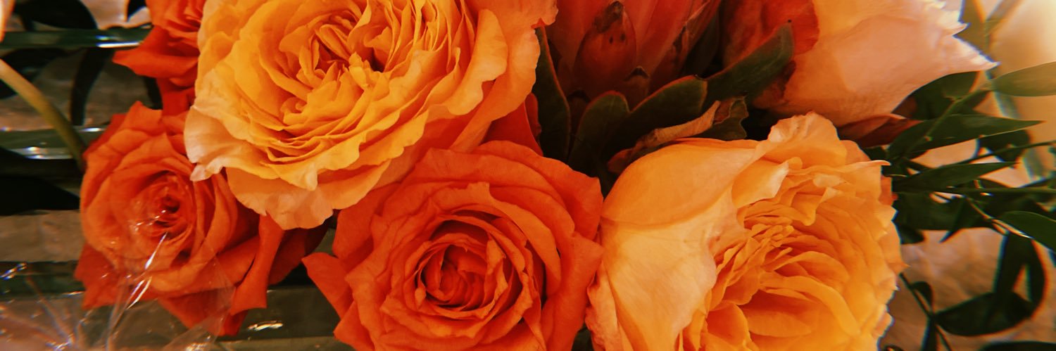 _dlanez's profile banner image