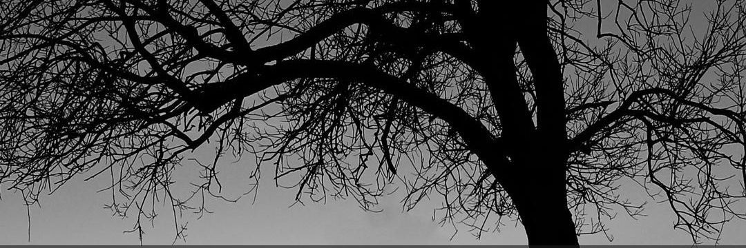 brkkcglu's profile banner image