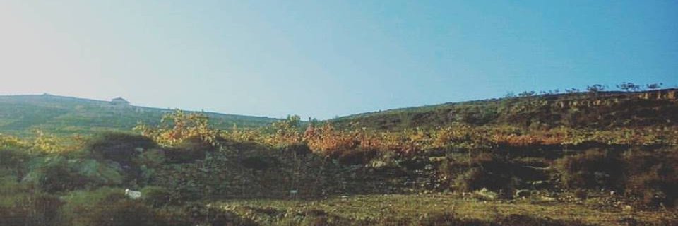 mahmoudmdoha's profile banner image