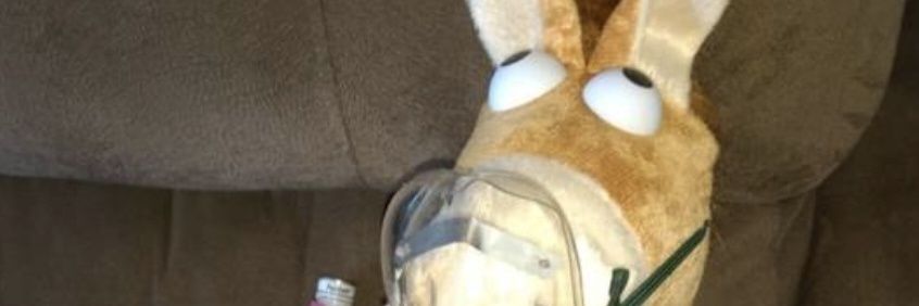 CybaPaty's profile banner image
