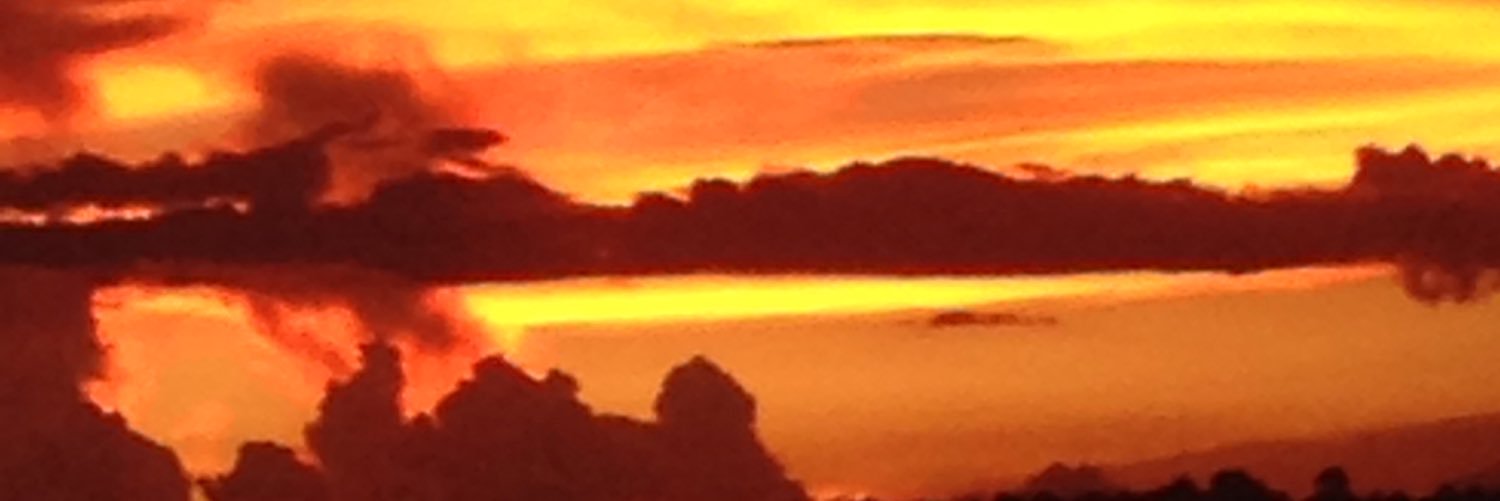 celioribas's profile banner image