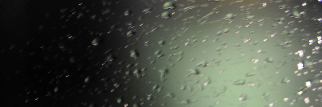 leen banner