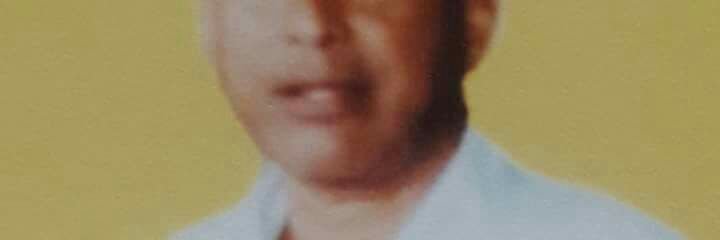 germinalvidal's profile banner image