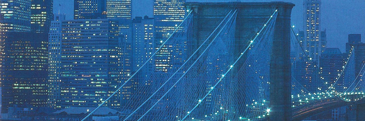 lil shane krush banner