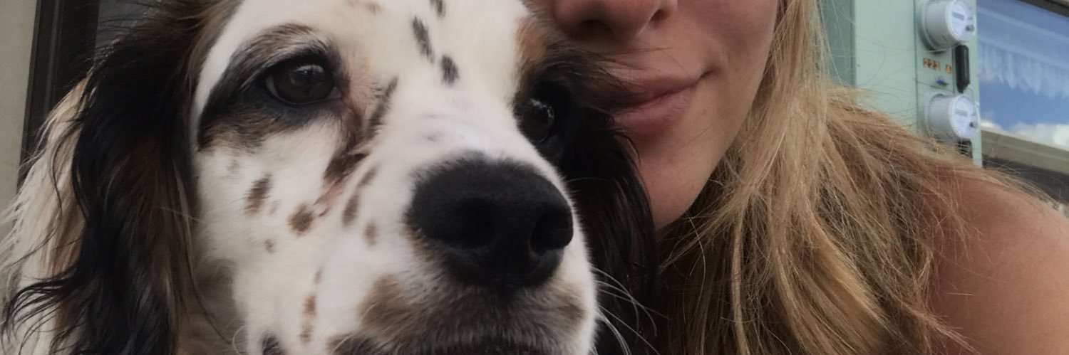 summerborin's profile banner image