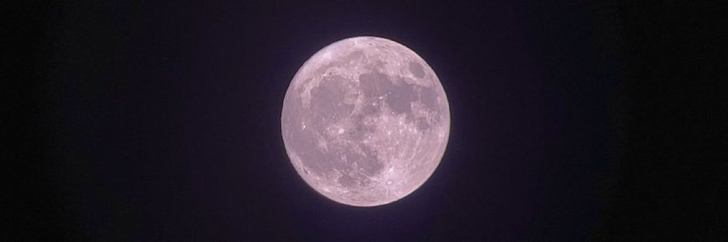ziamalso's profile banner image