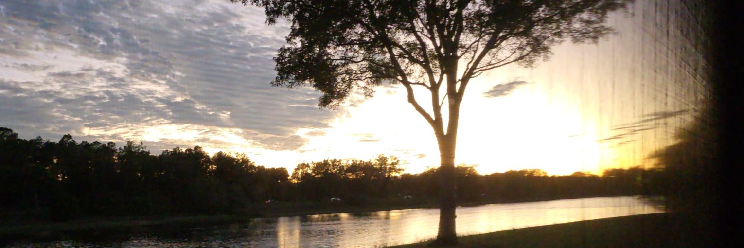 tracysmiracle's profile banner image