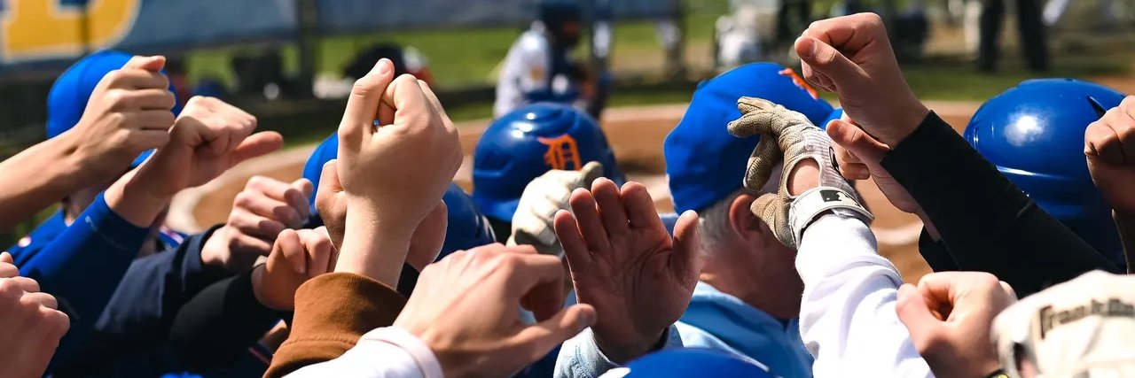 Hatters Baseball banner