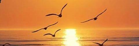 FitriametaF's profile banner image