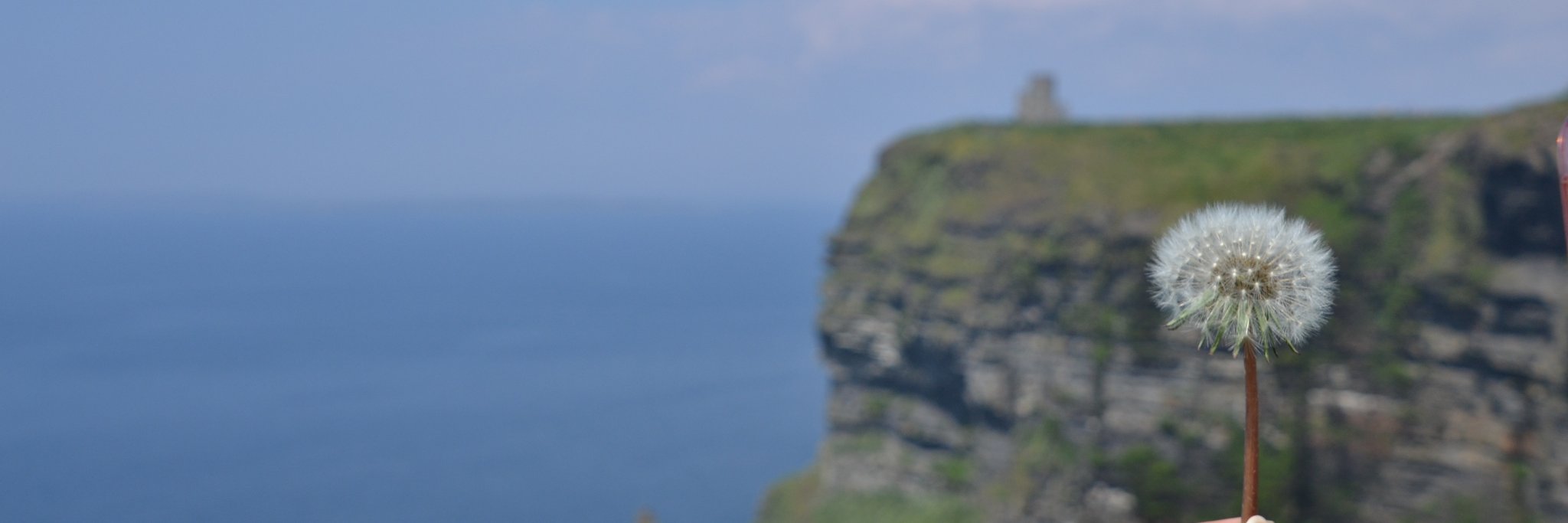 shiz_uno's profile banner image