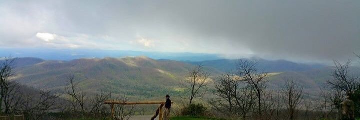 Taylor_Sisk's profile banner image