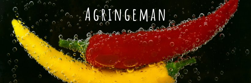 agringeman's profile banner image