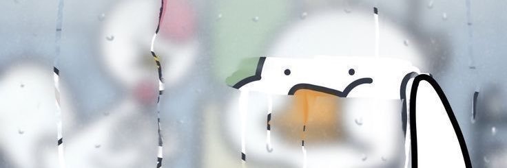 เป็ด. banner