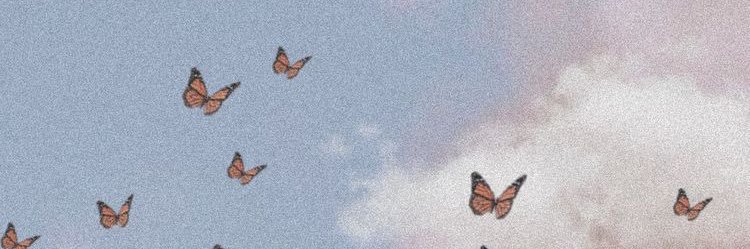andreagrazzia's profile banner image