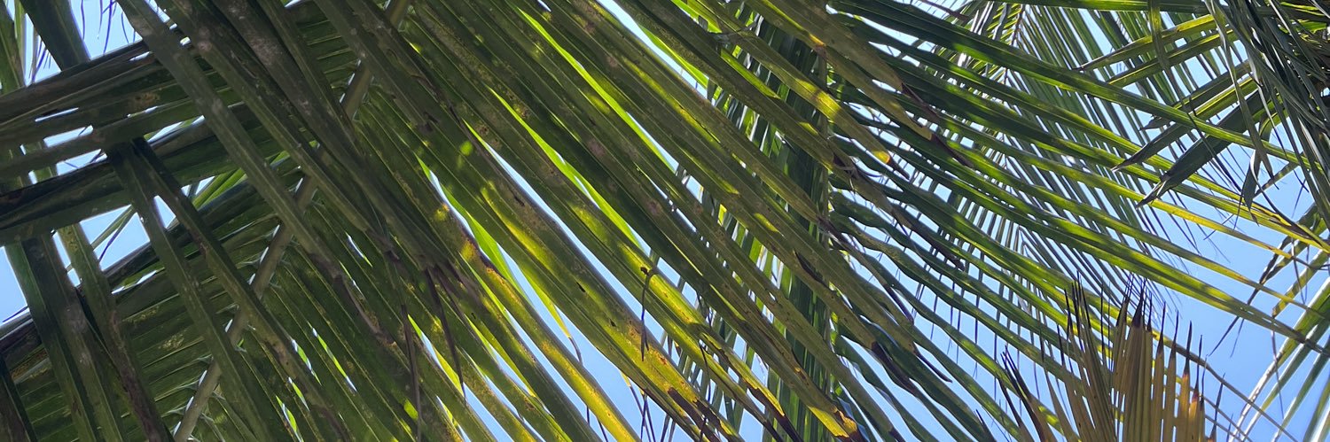 cajuela_'s profile banner image
