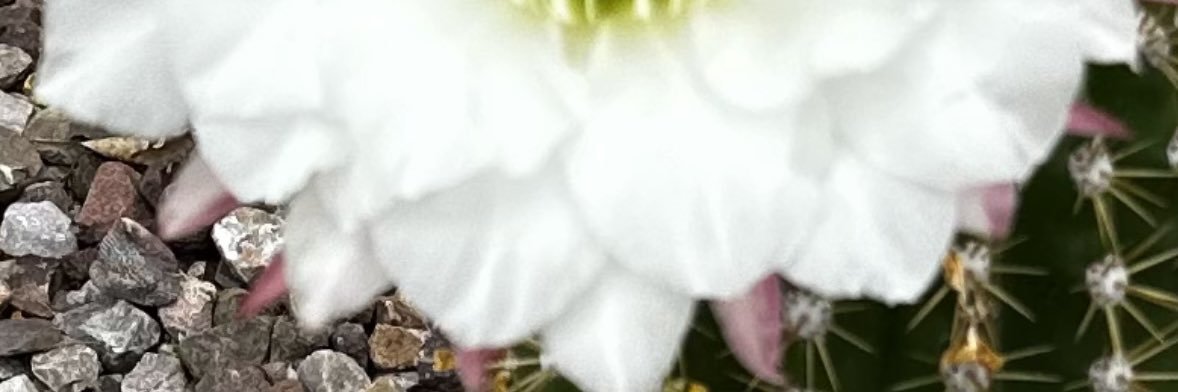 jenniferkl's profile banner image