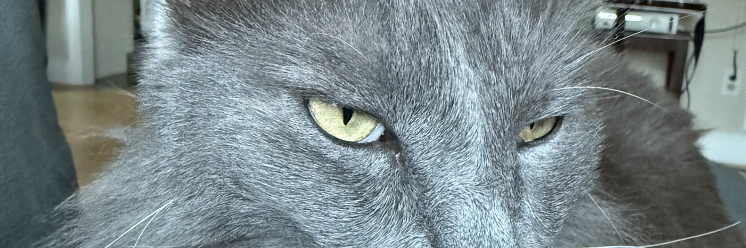 hearthop67's profile banner image