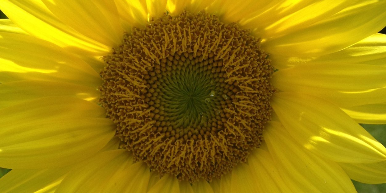 jefstac's profile banner image