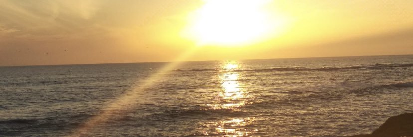 pardelsur_'s profile banner image