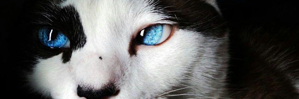 6043749's profile banner image