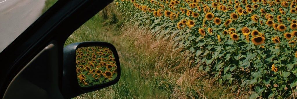 marcofuentees's profile banner image