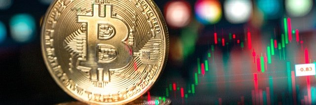 Maria Cuttitta banner