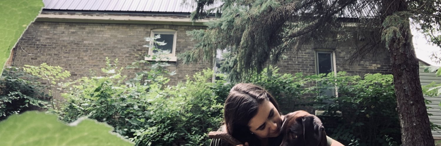 britneeaweir's profile banner image