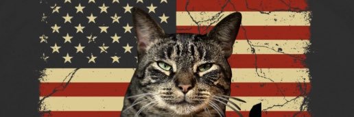 Ⓔⓡⓘⓝ 🇺🇸💫🫶 banner