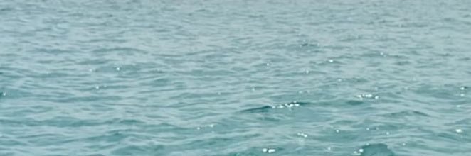 vnessia0c's profile banner image