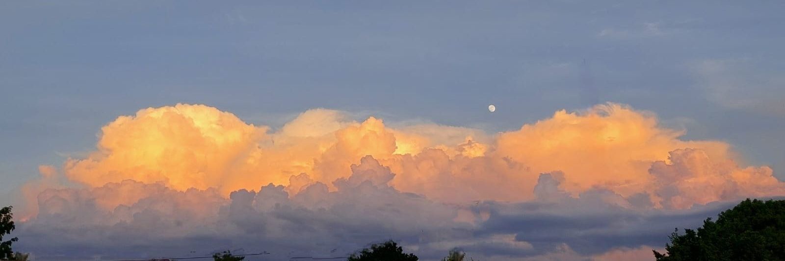 Liz_chb24's profile banner image