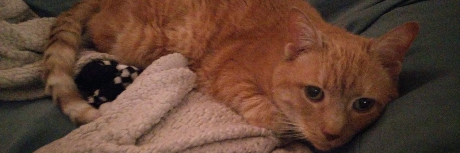 ʍoɹʇuǝЯ ɹǝʇǝԀ lǝᴉuɐɥʇɐN banner