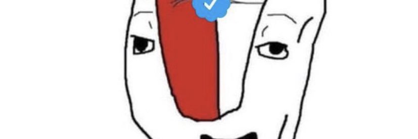 Chimothée Talamet banner