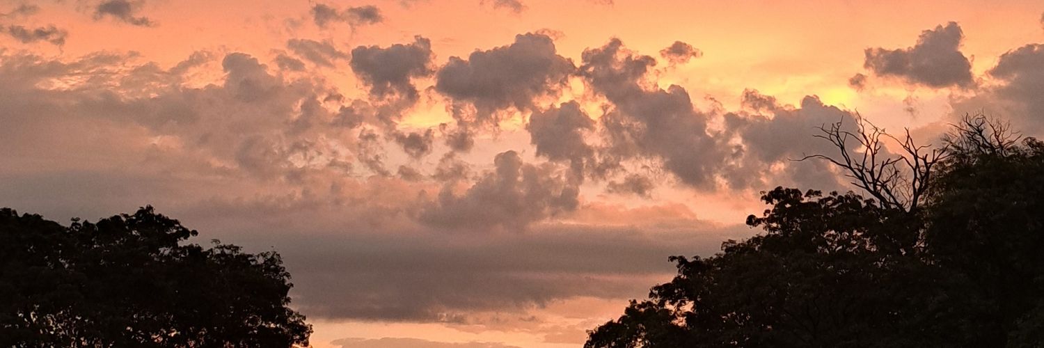 rdfleitas's profile banner image