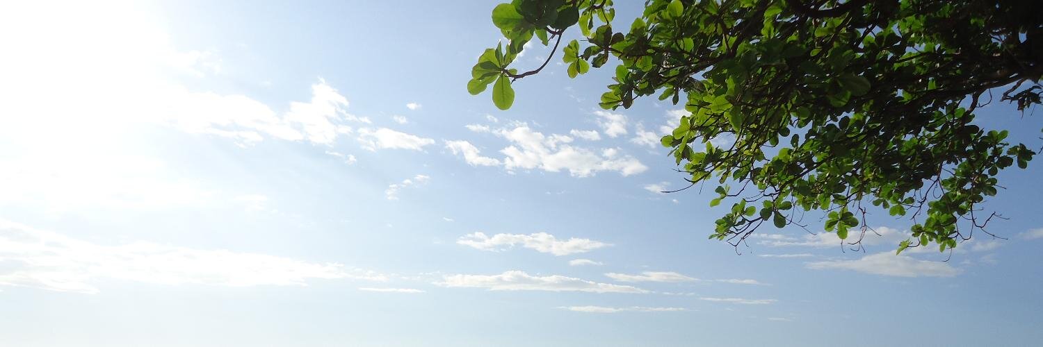 jamflora's profile banner image
